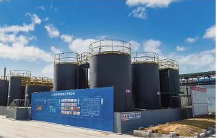 Potassium Metaphosphate